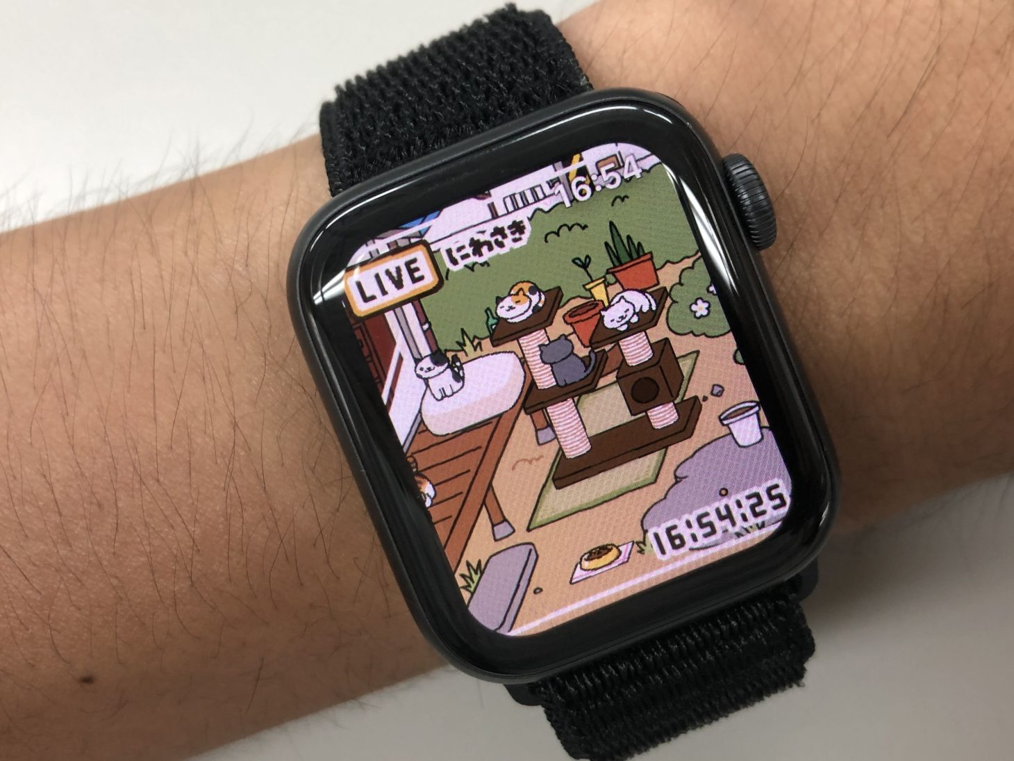 見るだけで癒やされる 人気スマホゲーム ねこあつめ が実はapple Watchに対応している件 スマートウォッチライフ