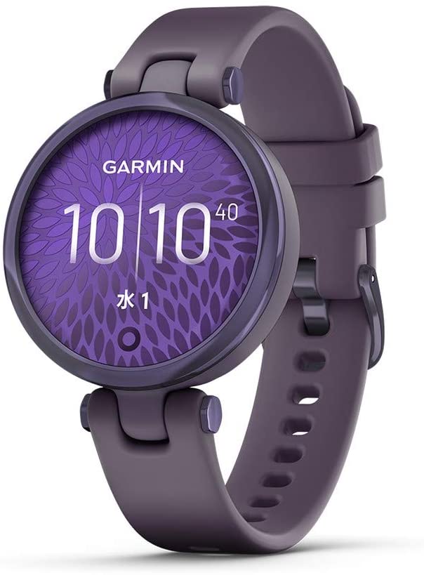 garmin