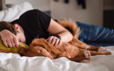 夜中に目が覚めるのは本当に「睡眠の失敗」なのか？人類の睡眠史から見えてきた意外な事実