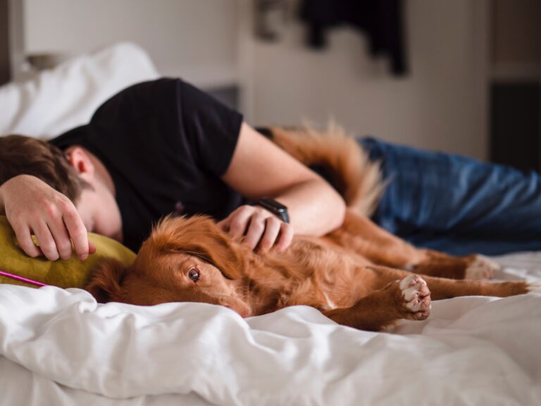 ベッドで眠る人のイメージ。夜中の中途覚醒は歴史的には珍しいことではなかった