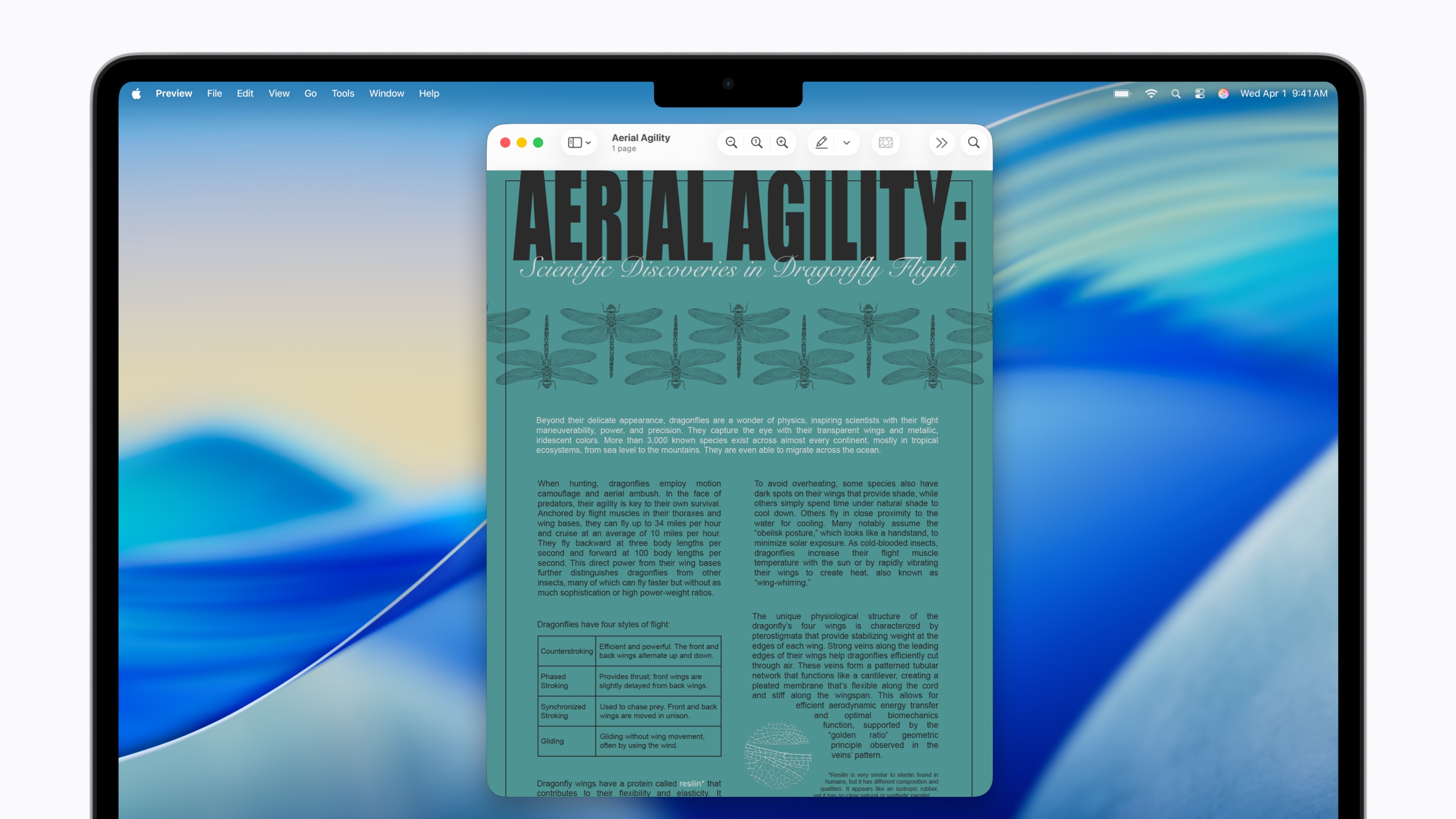 アクセシビリティリーダー適用前の、複雑なレイアウトと小さな文字を含む資料を表示したMacの画面