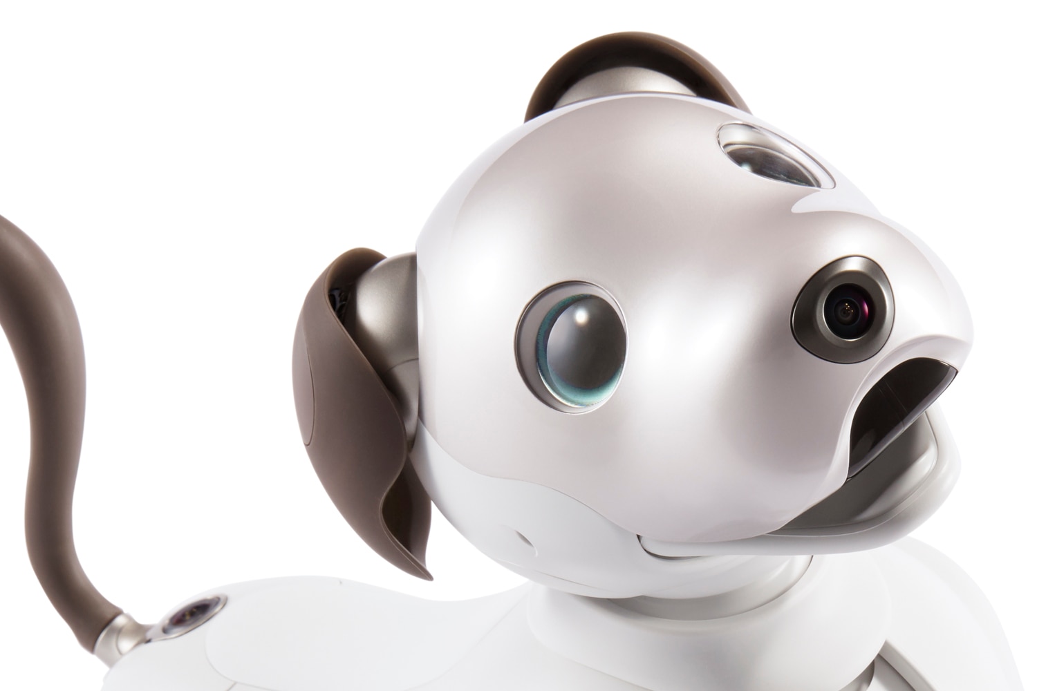 ソニー、aibo「ERS-1000（アイボリーホワイト）」の国内販売終了を発表
