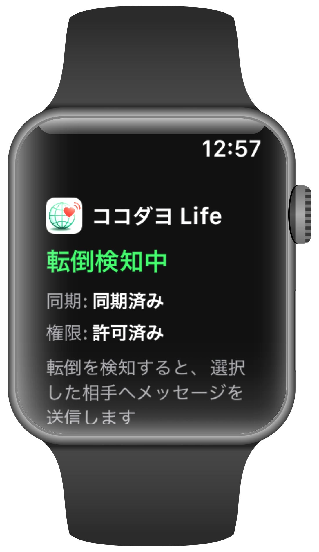 Apple Watchに表示されたココダヨ Lifeの転倒検知中の画面。同期済み・許可済みと表示されている