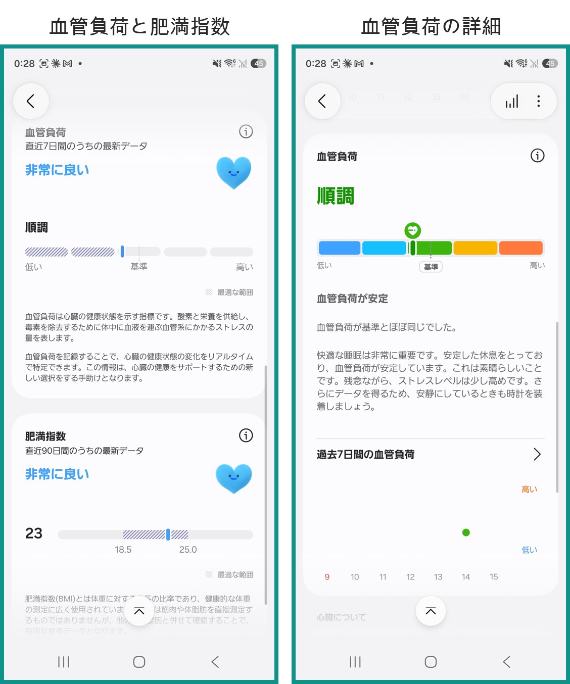 Galaxy Watchの心臓の健康スコアを構成する血管負荷と肥満指数、および血管負荷の詳細画面。