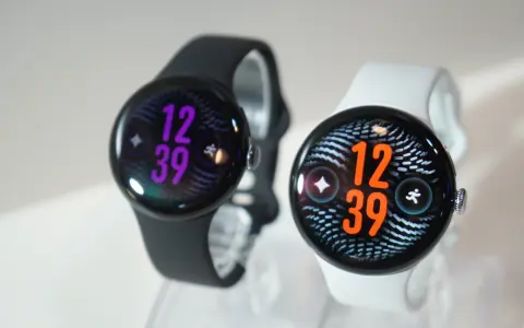 Pixel Watch 5 は41mmと45mm どっちを選ぶ？ 中身は同じ、違うのは大きさ・電池・色・価格とバンドの対応サイズ