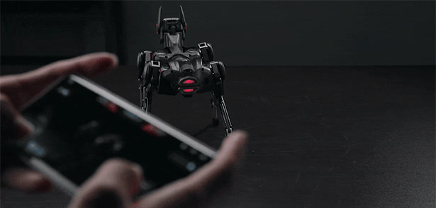 スマートフォンアプリからAIロボットドッグ Sirius を一人称視点で操作している様子