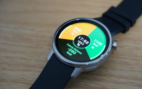 スマートウォッチは消費カロリーの「基礎代謝」まで測れるの？ 各社の仕組みを比較