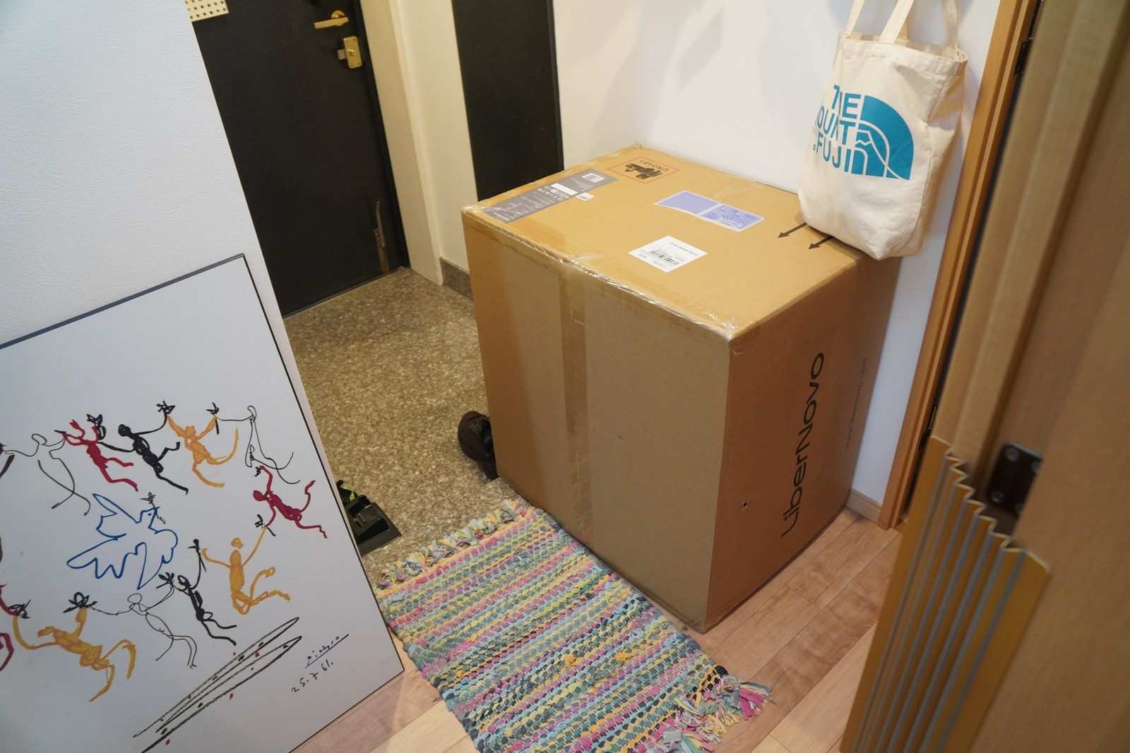 玄関に届いたLiberNovo Omni Proの大きな梱包箱