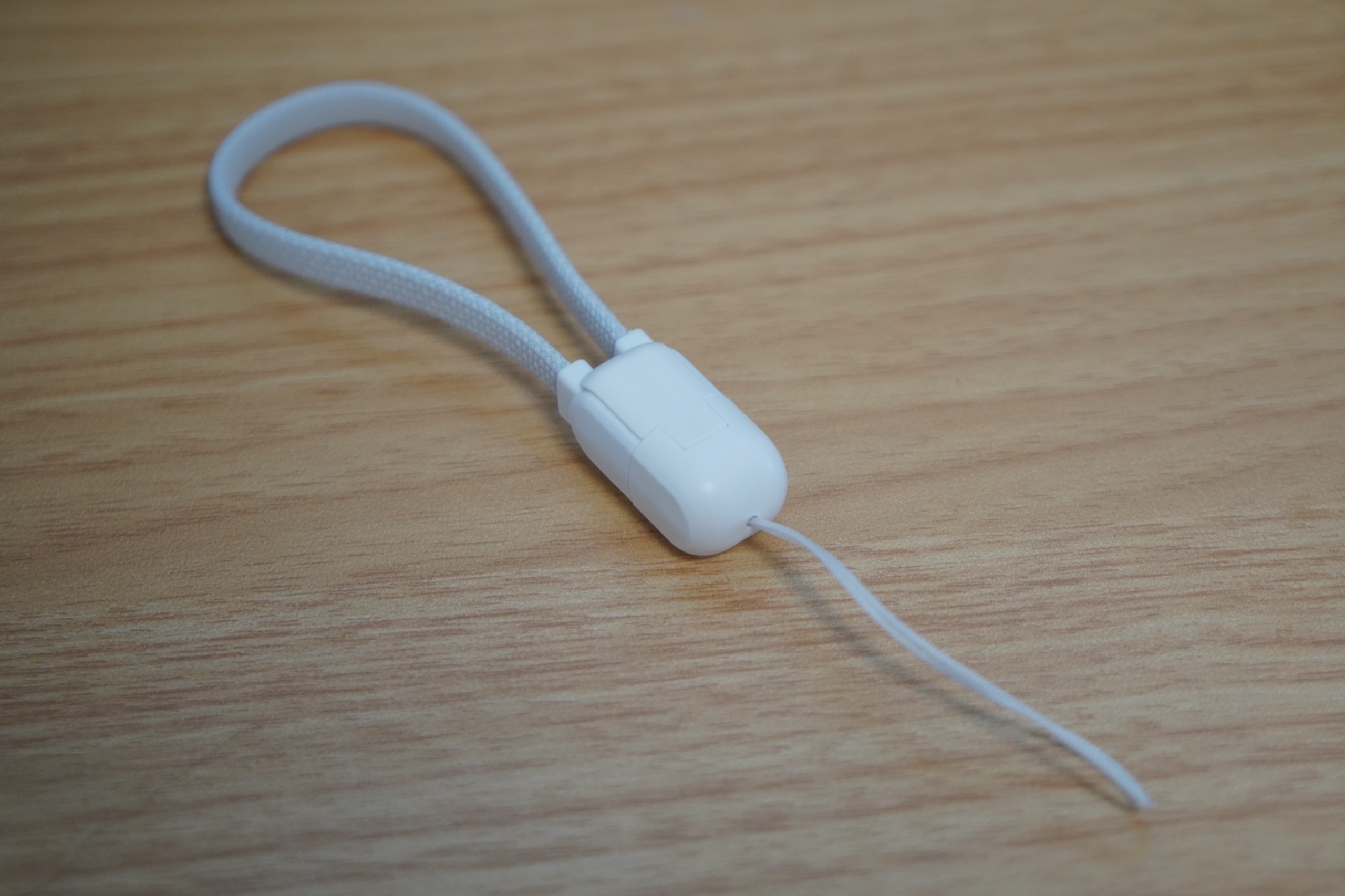 ストラップ形態にまとめた付属USB-Cケーブル。白いホルダーで両端子を収納している