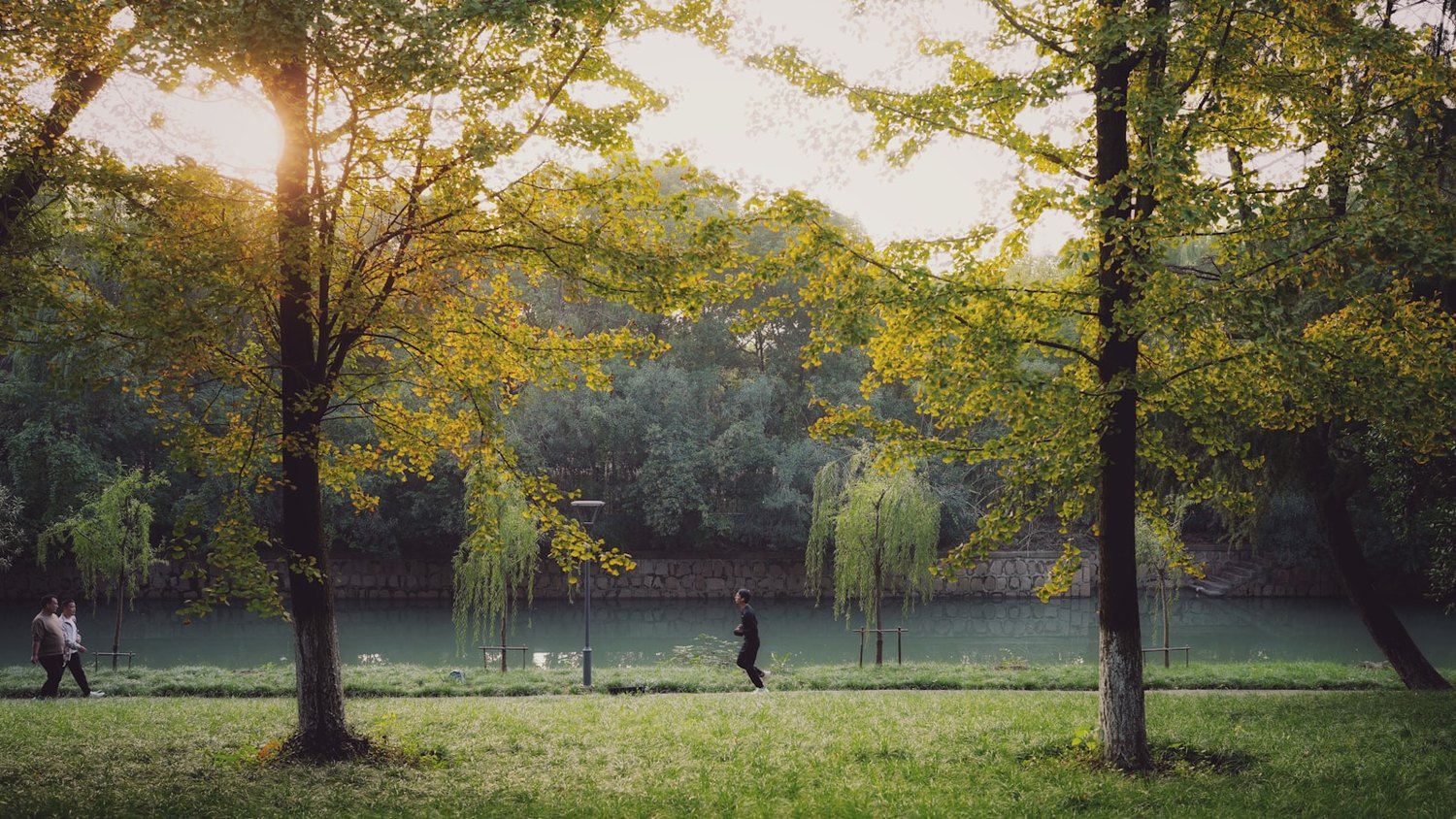 朝の公園で歩く人と木々。血管への負担は日々の生活習慣が反映される。
