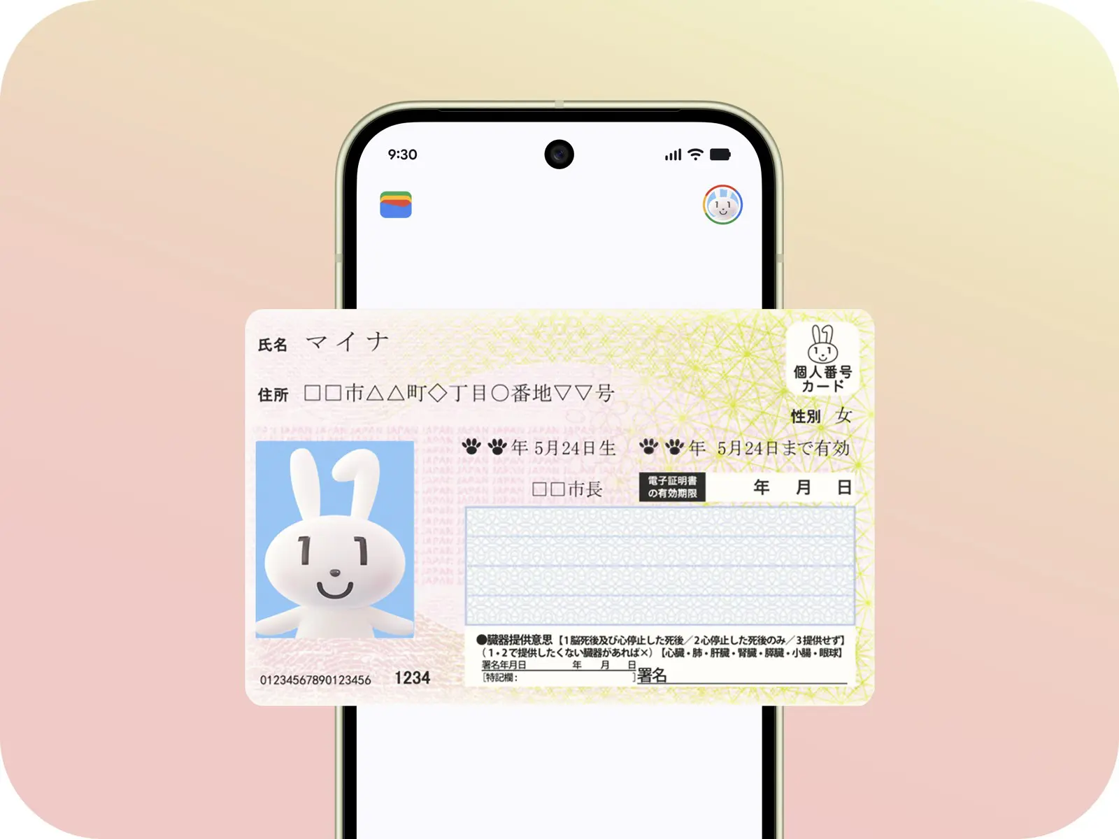 「Androidのマイナンバーカード」は10月20日開始予定｜Google ウォレットで本人確認・年齢確認 対応機種は20日までに公開