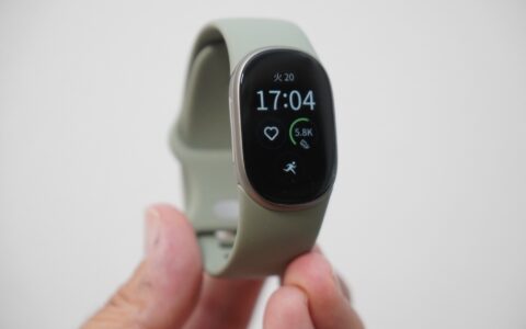 Fitbit Edge Suica非対応の理由をGoogleが説明｜Charge 6で使った人は1%未満 転倒検出もなし【海外ニュース】