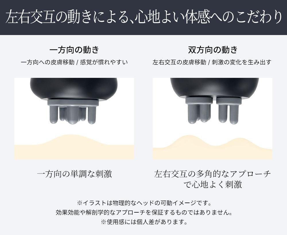 ヘッドを左右2つに分けたHAGOOGI BK-05の構造を示す画像