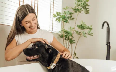 PettiChatは犬・猫の鳴き声をAIで「翻訳」する首輪型デバイス｜Makuake公開10時間で100万円突破