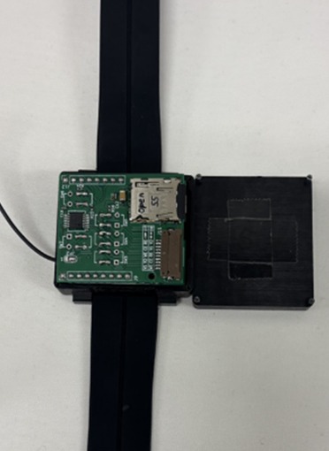 黒いベルトに取り付けた腕時計型の無線送信機。緑の基板にmicroSDスロットとアンテナ線が付いている
