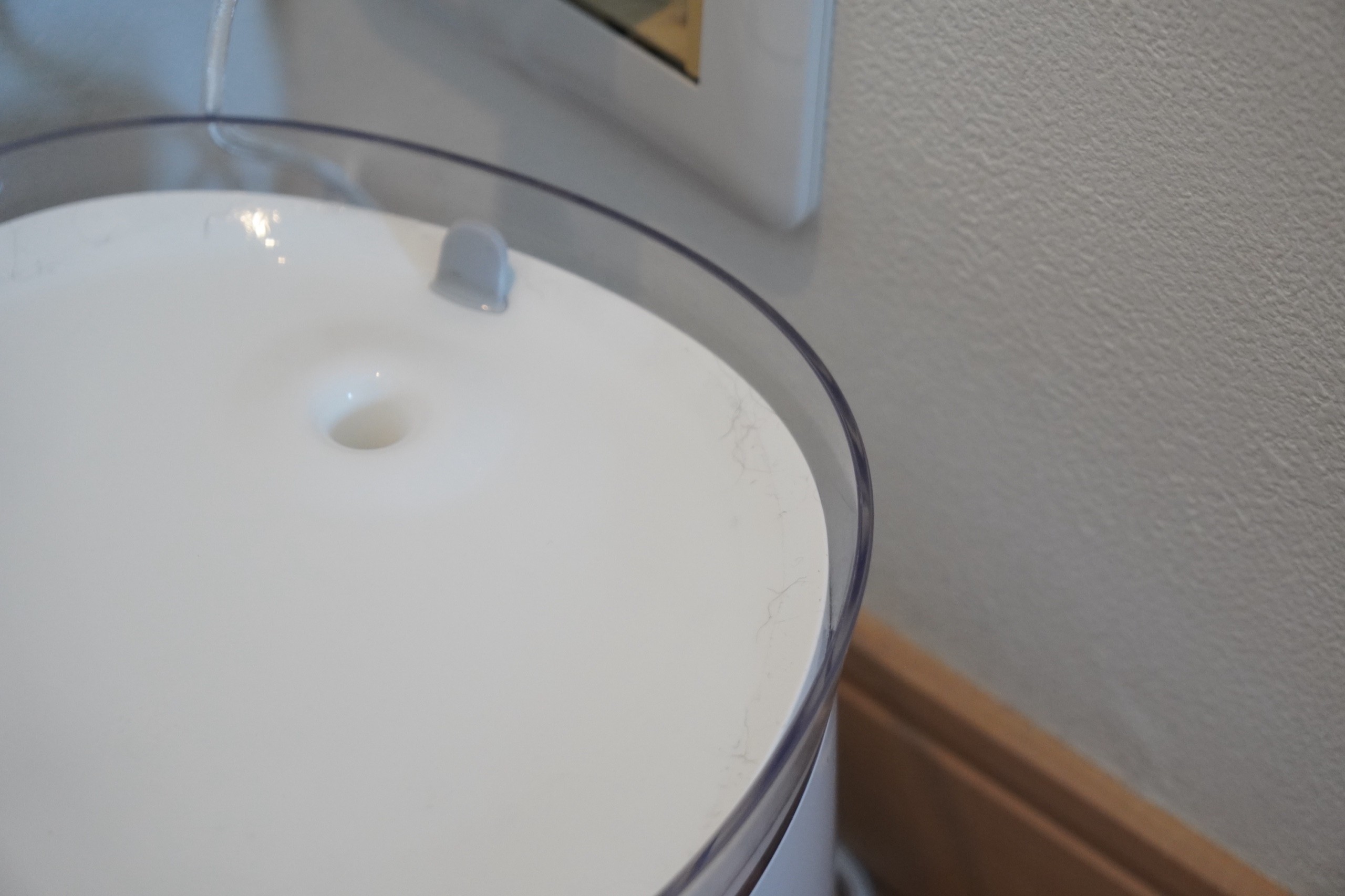 数日手入れをしなかった水受けの表面に猫の毛がたまっている様子